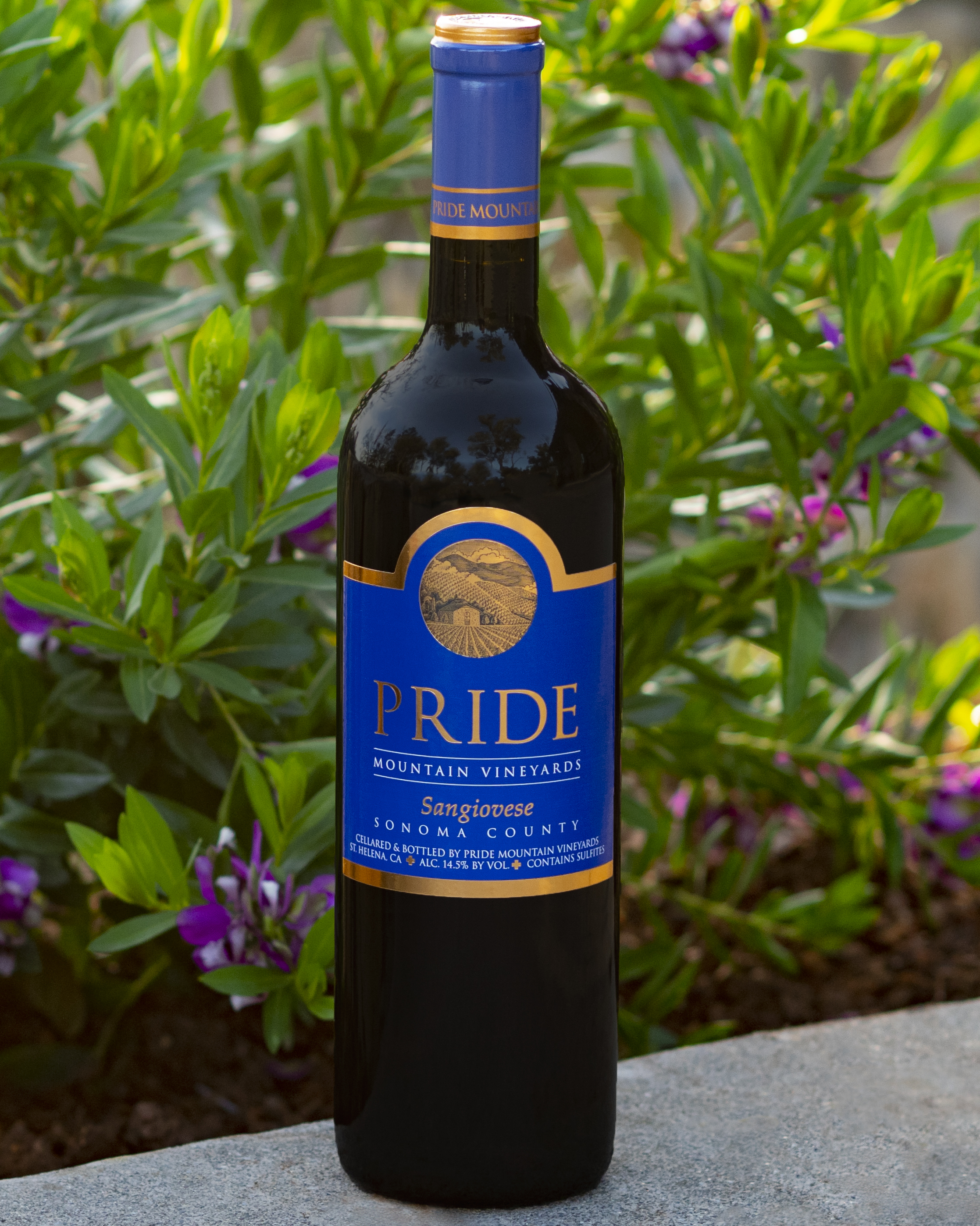Wine Image